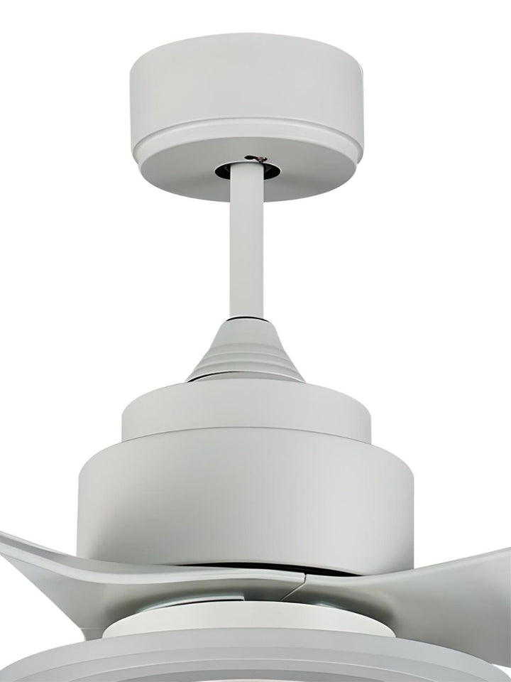 Designer Fans