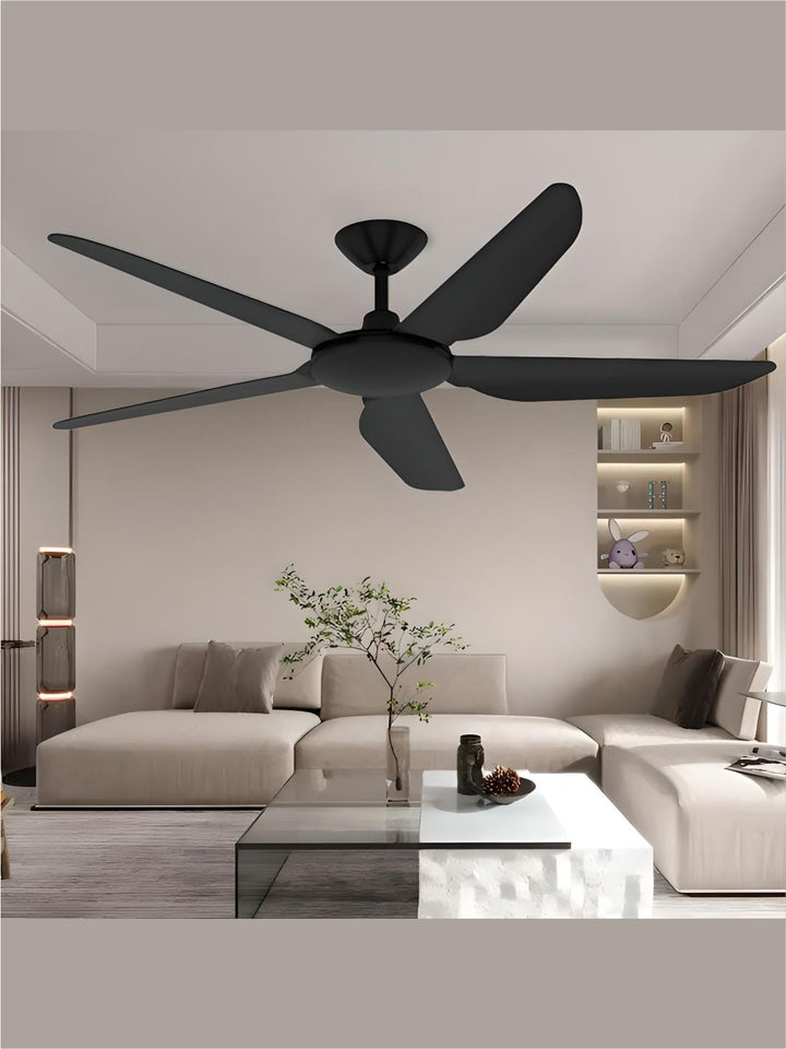 Designer Fans