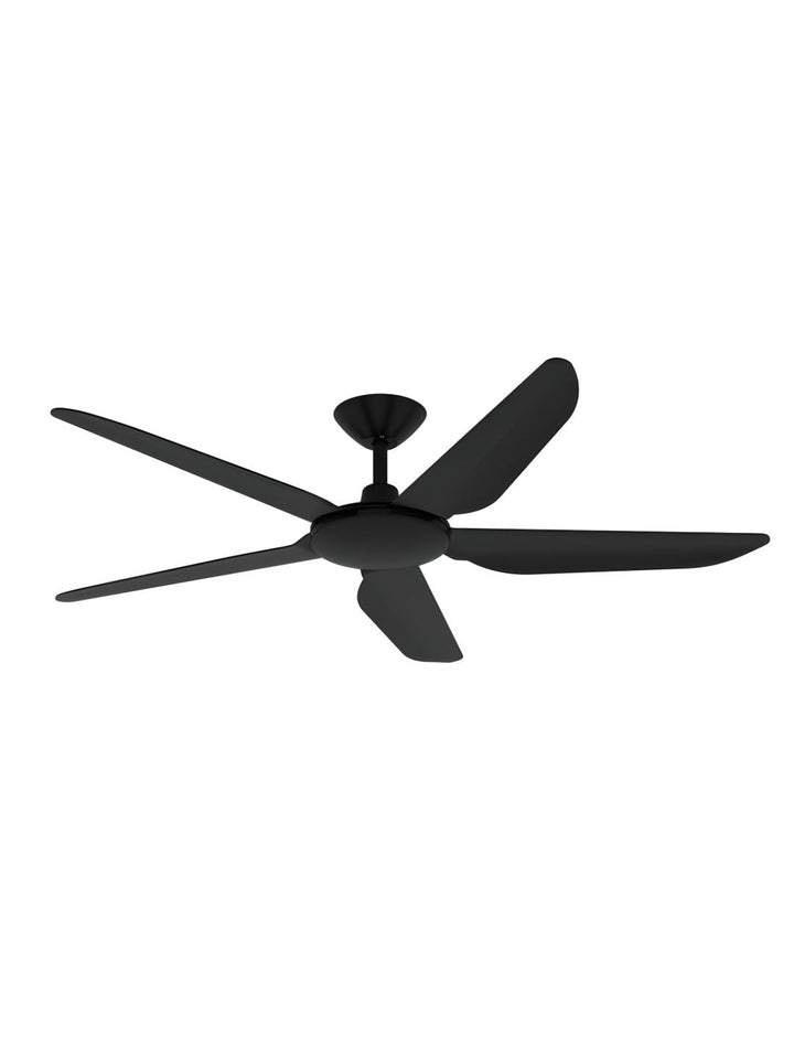 Designer Fans