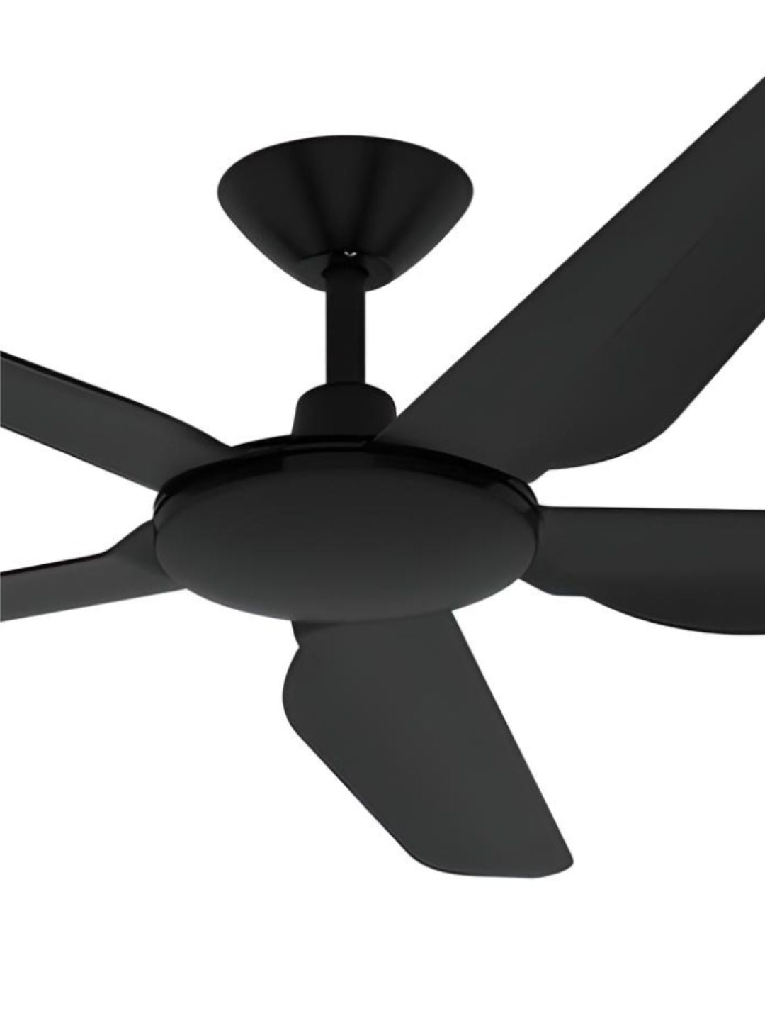 Designer Fans