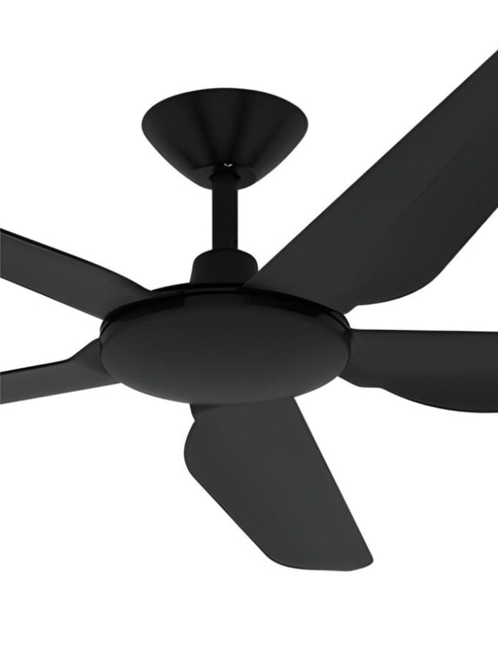 Designer Fans