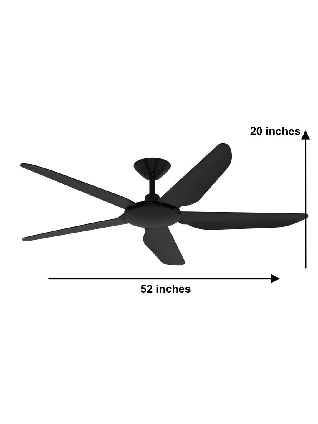 Designer Fans
