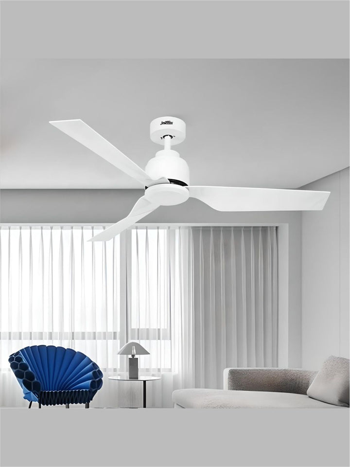 Designer Fans