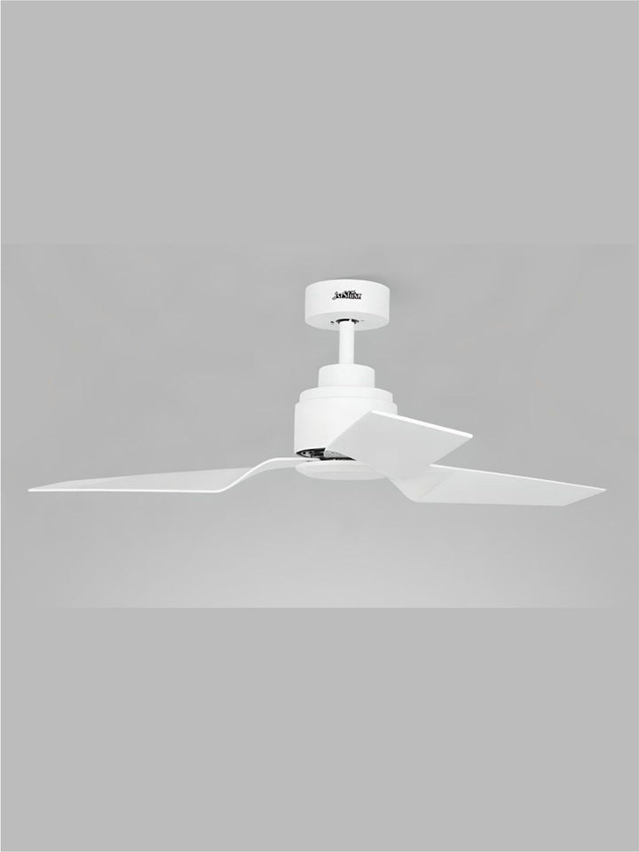 Designer Fans