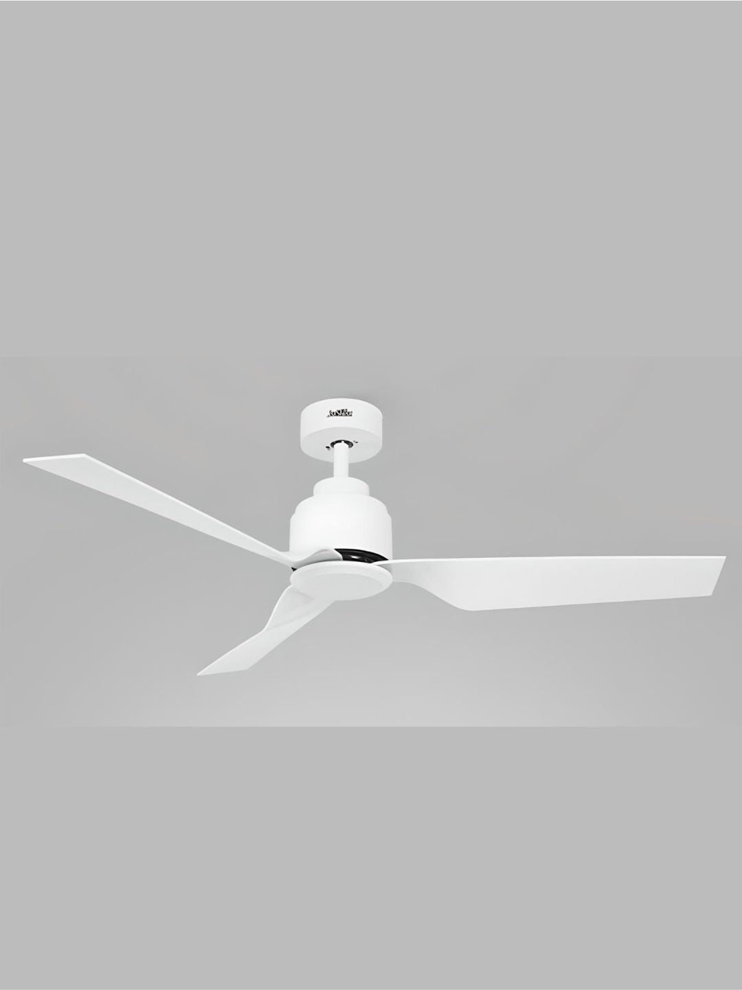 Designer Fans
