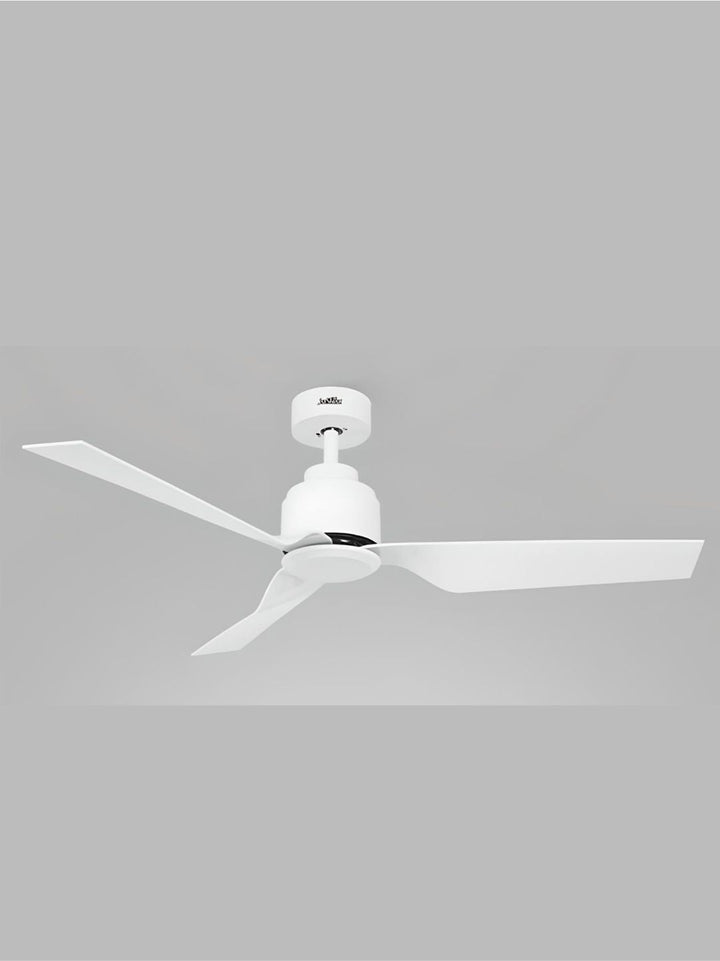 Designer Fans