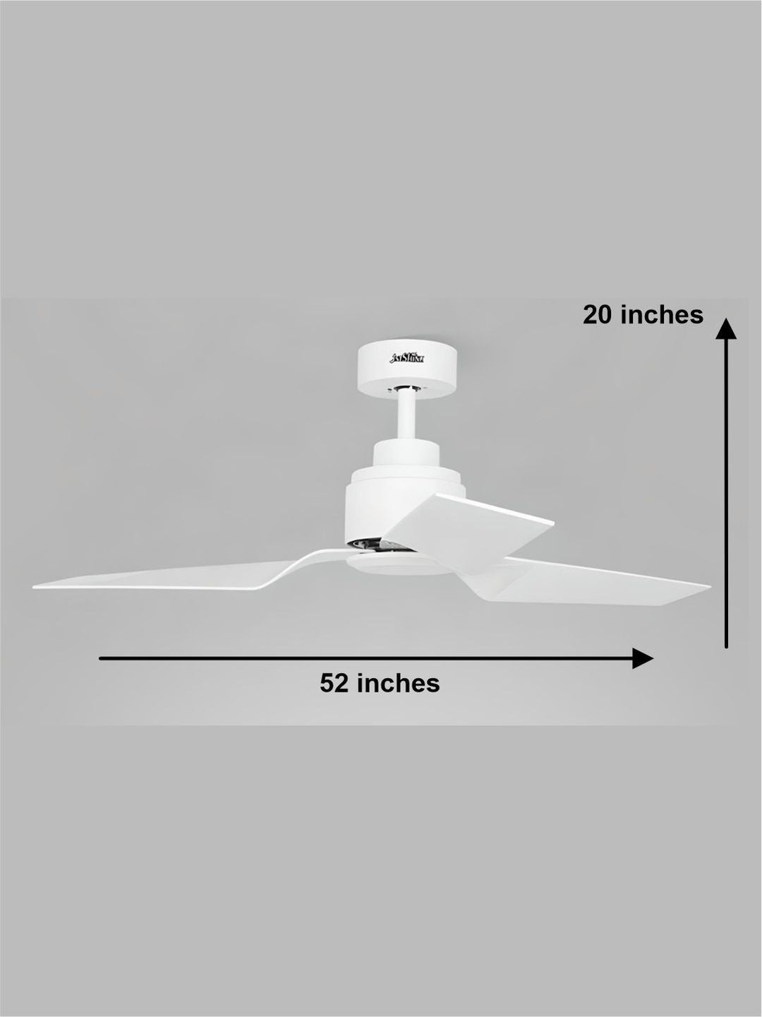 Designer Fans