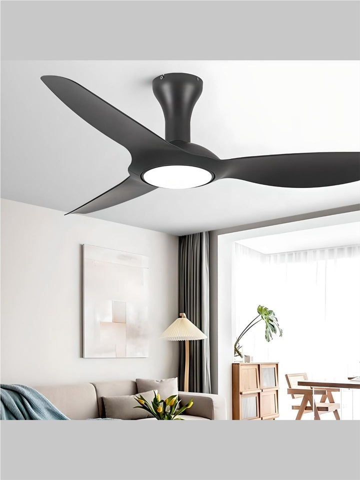 Designer Fans