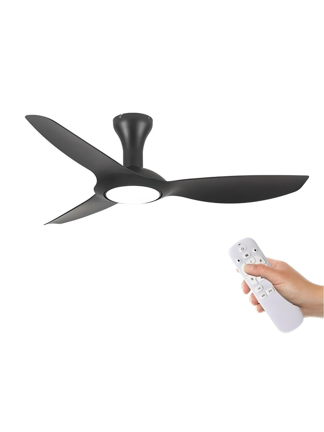 Designer Fans