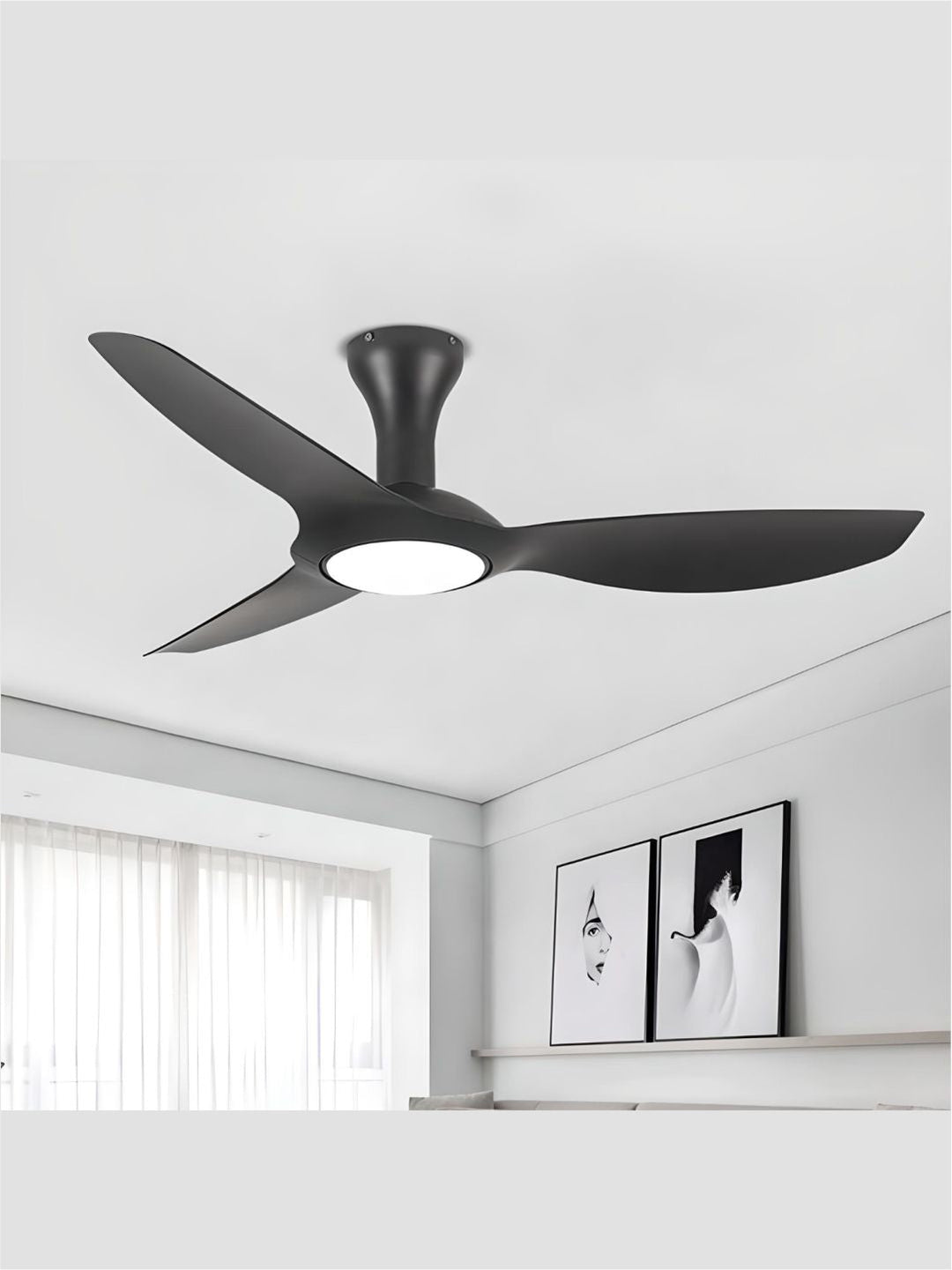 Designer Fans