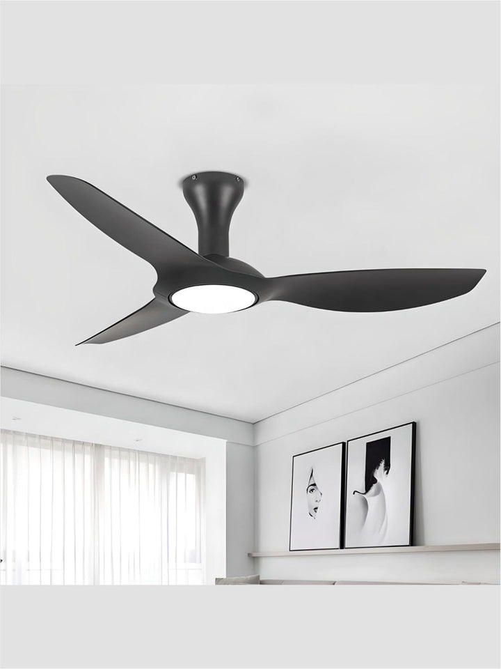 Designer Fans