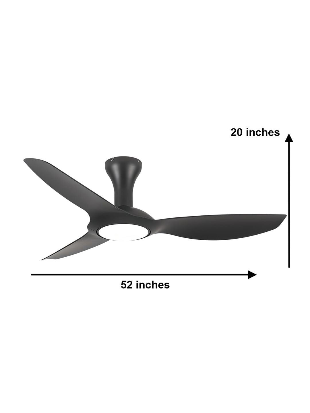 Designer Fans