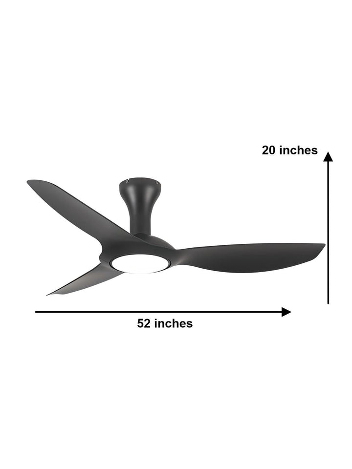 Designer Fans