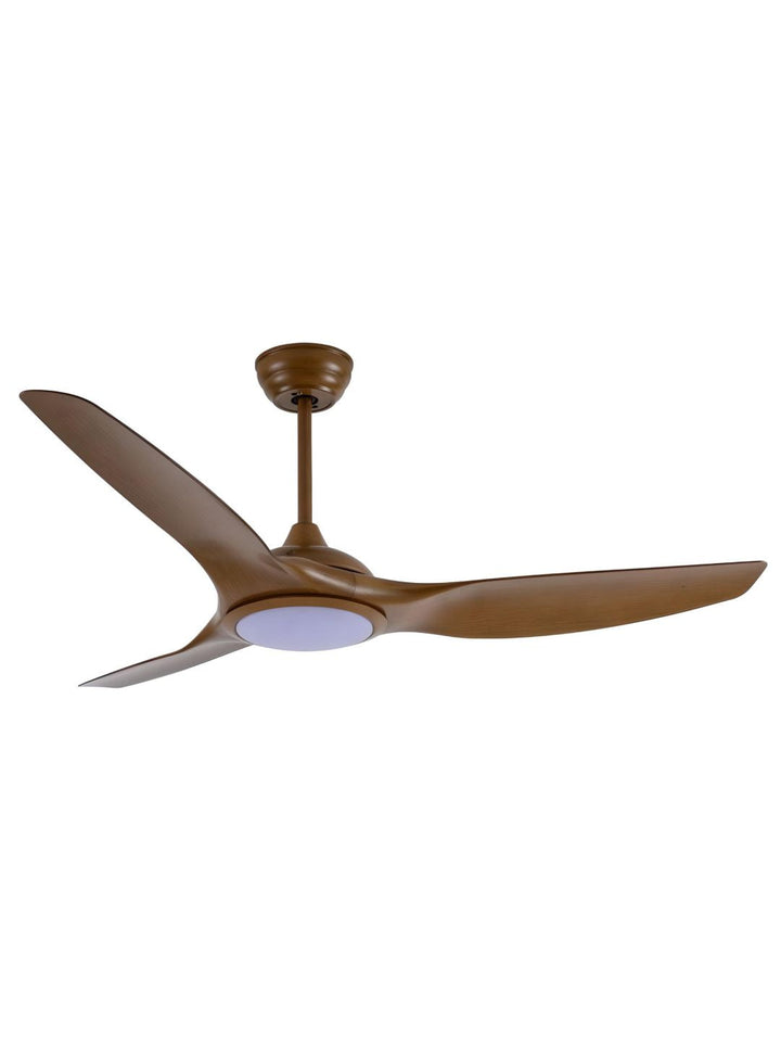 Designer Fans