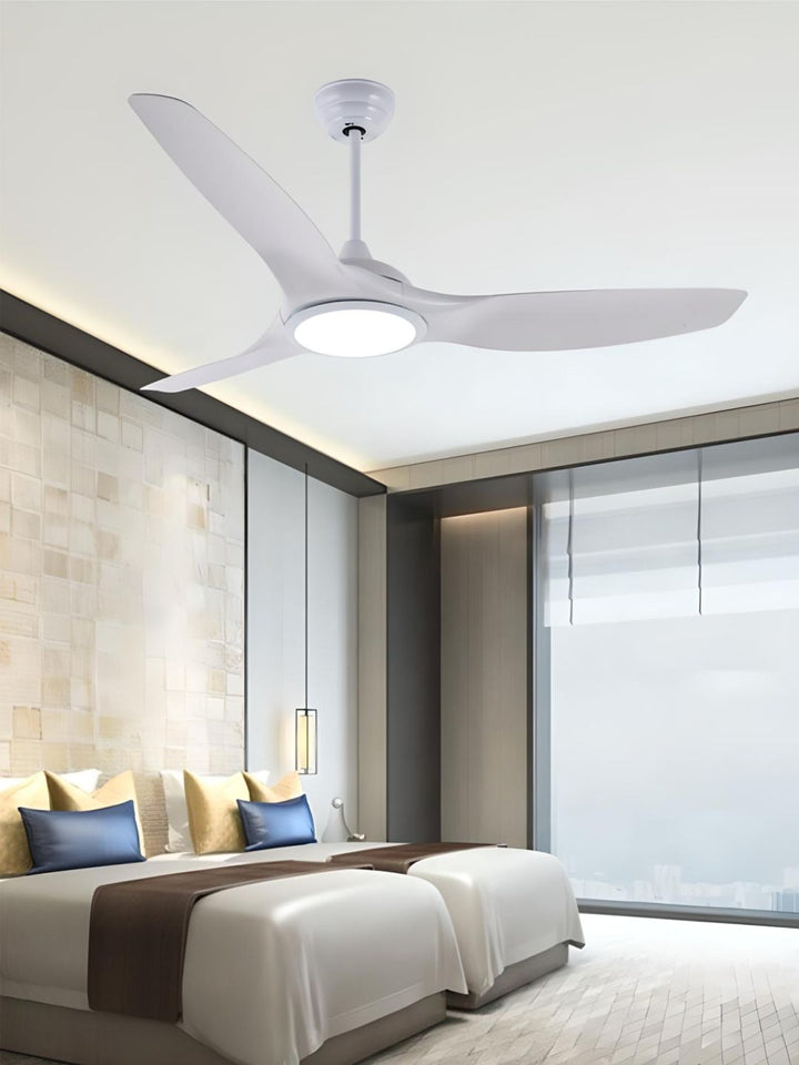 Designer Fans
