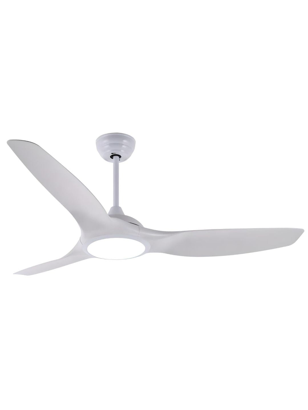 Designer Fans