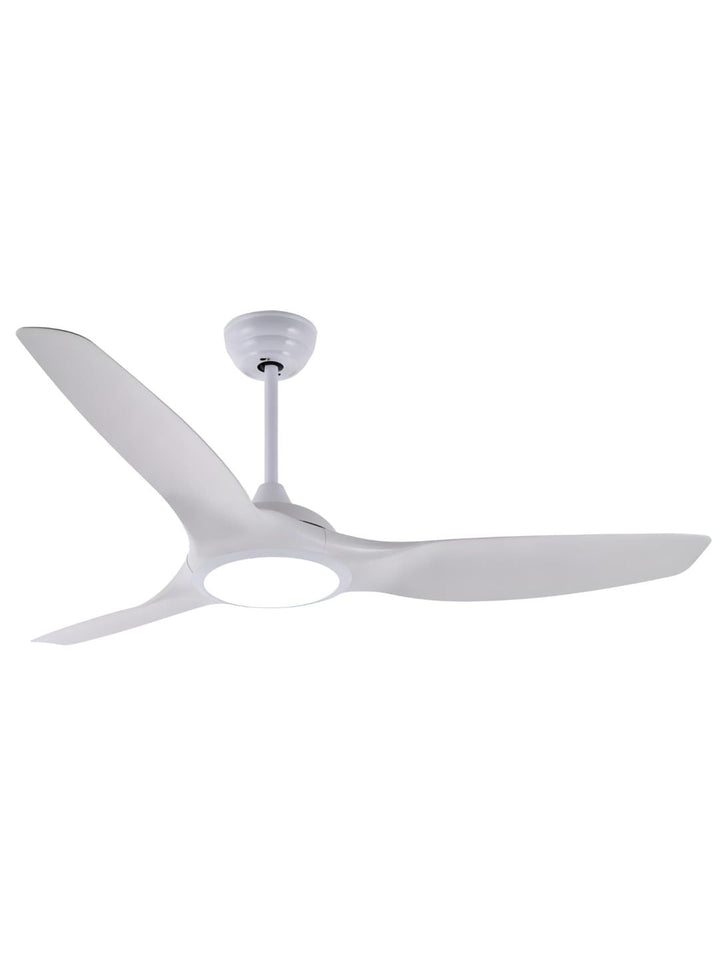 Designer Fans