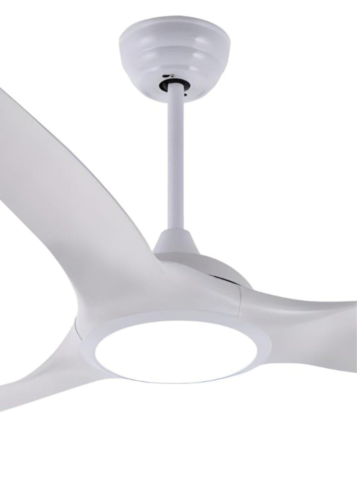 Designer Fans