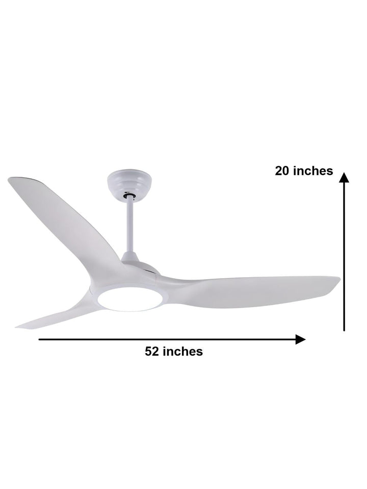 Designer Fans
