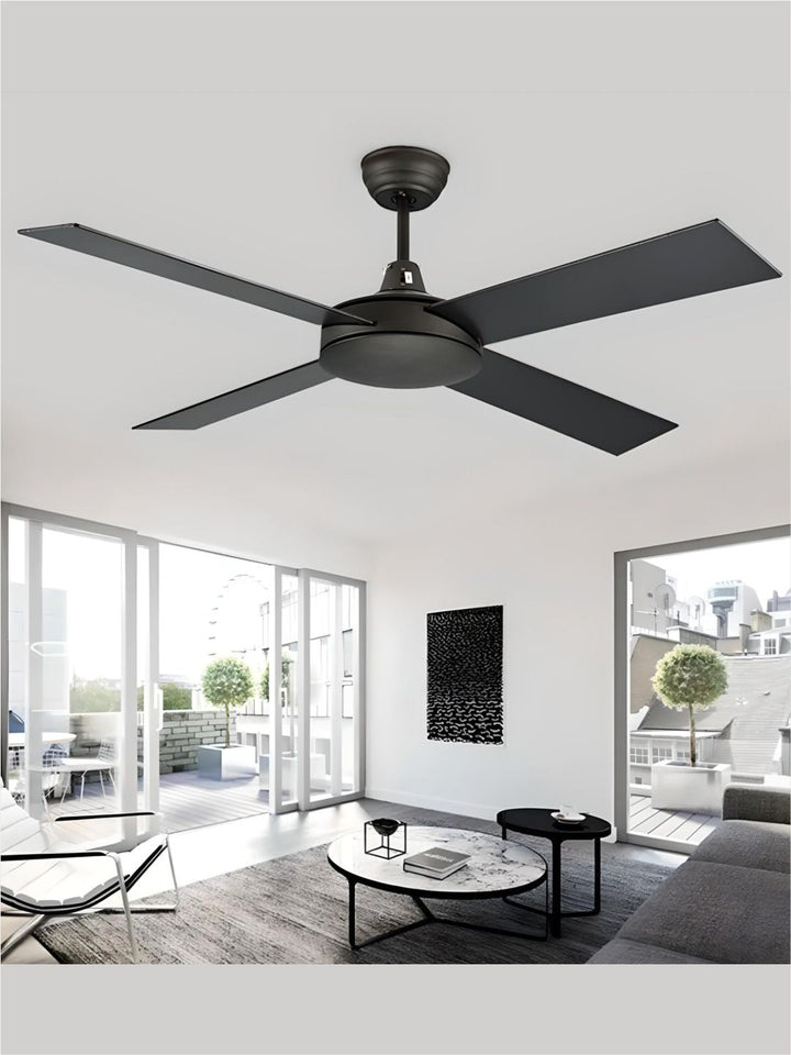 Designer Fans