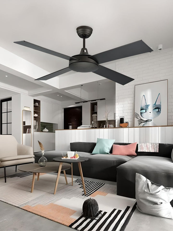 Designer Fans