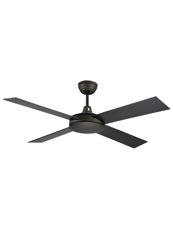 Designer Fans