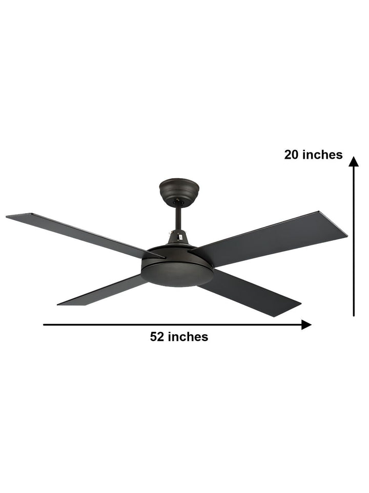 Designer Fans