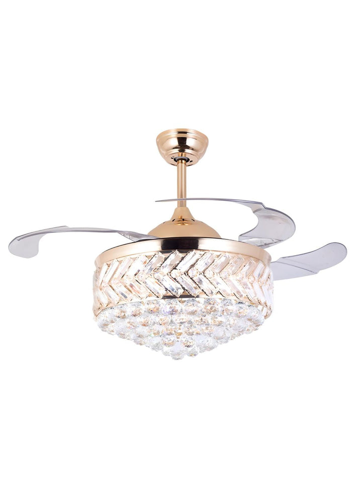 Designer Fans