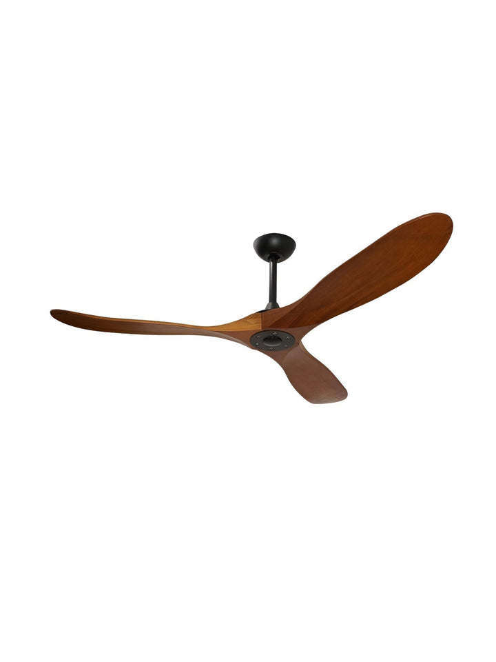 Designer Fans