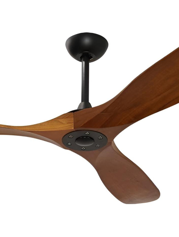 Designer Fans