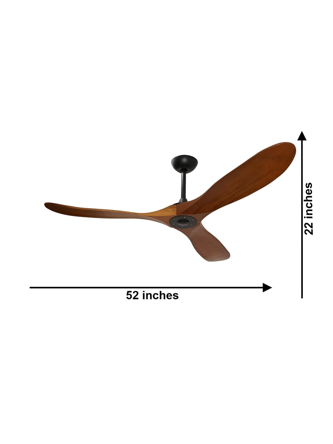 Designer Fans