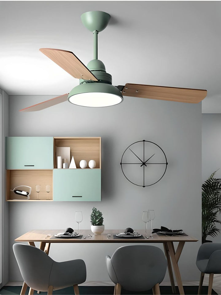 Designer Fans