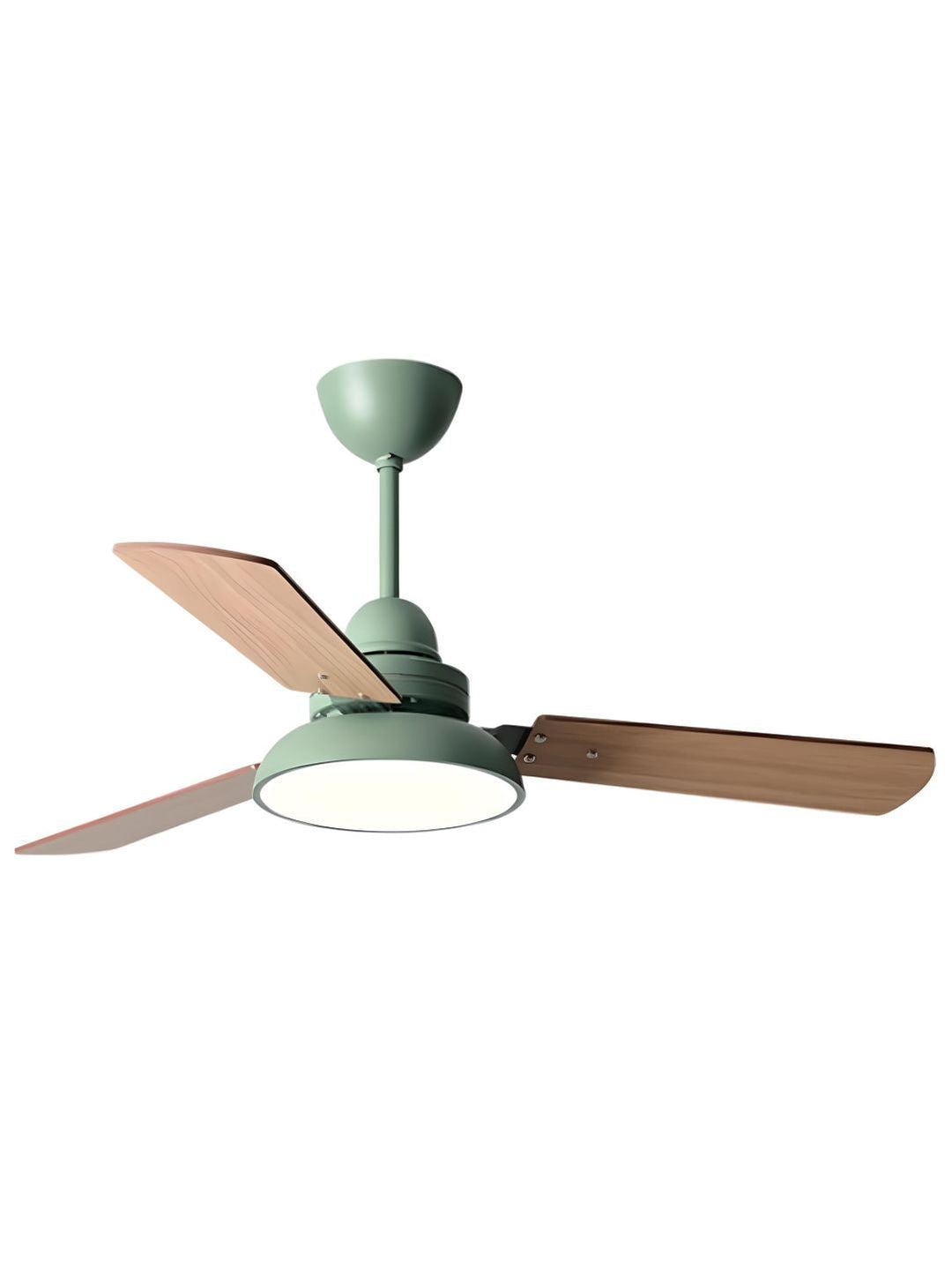 Designer Fans