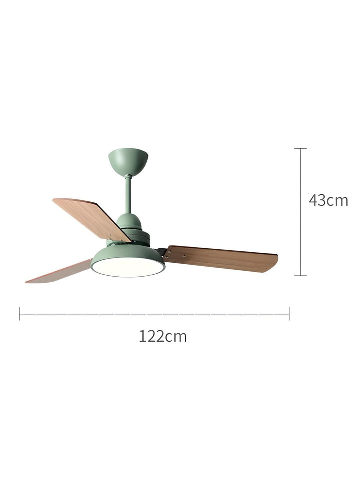 Designer Fans