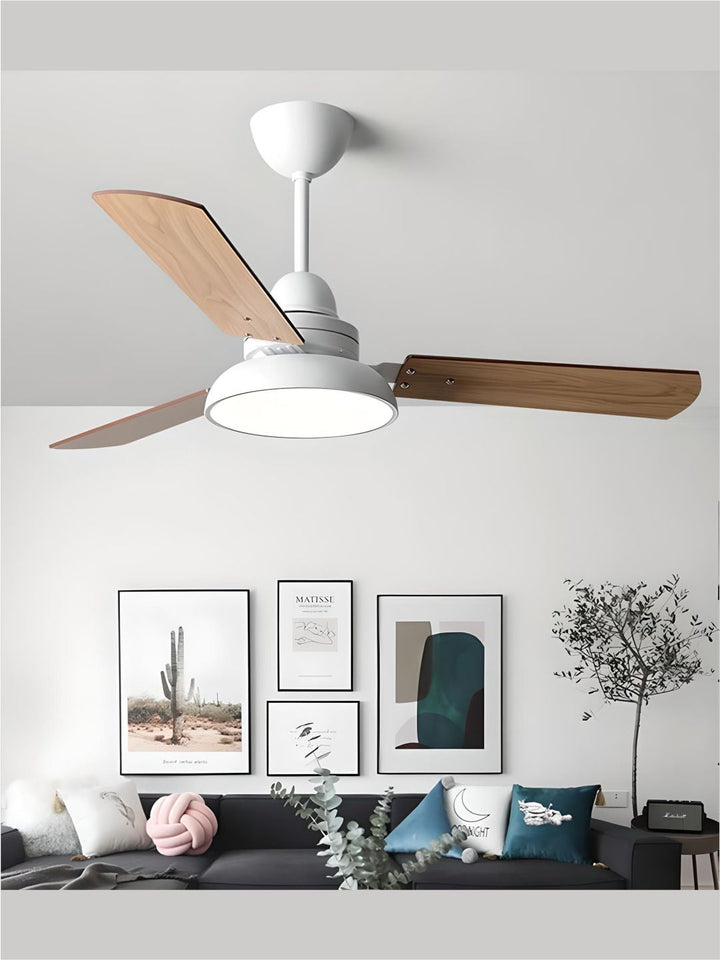 Designer Fans