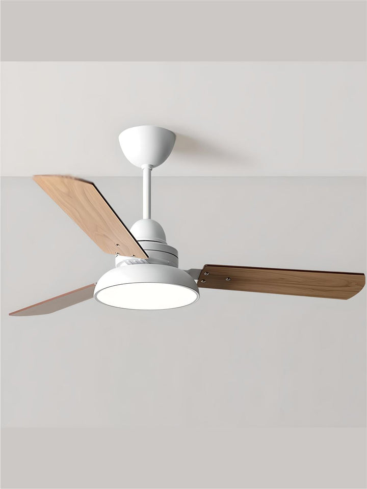 Designer Fans