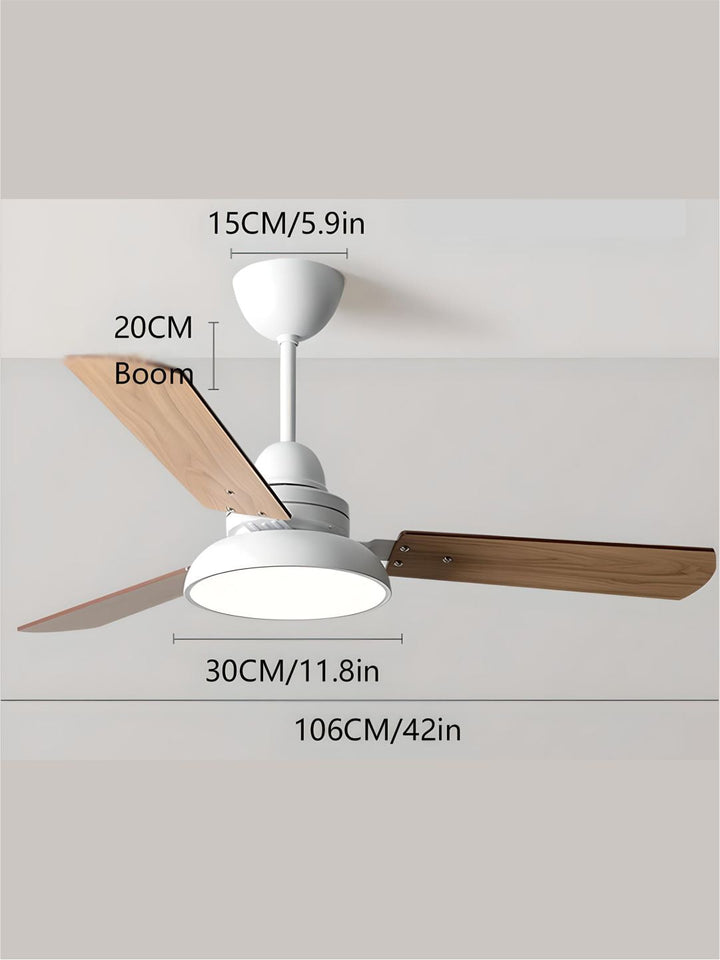 Designer Fans