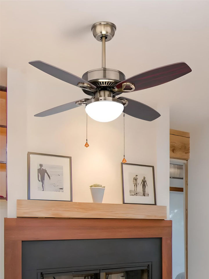 Designer Fans