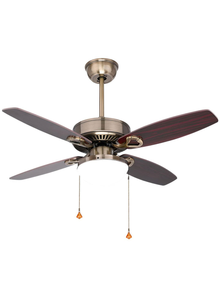 Designer Fans