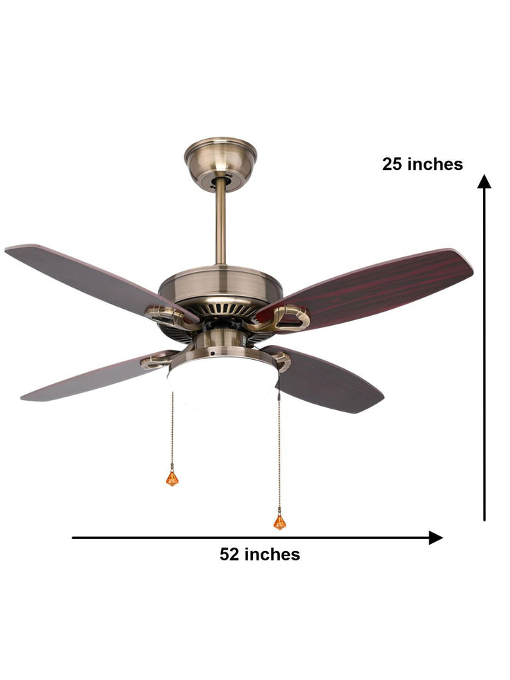 Designer Fans