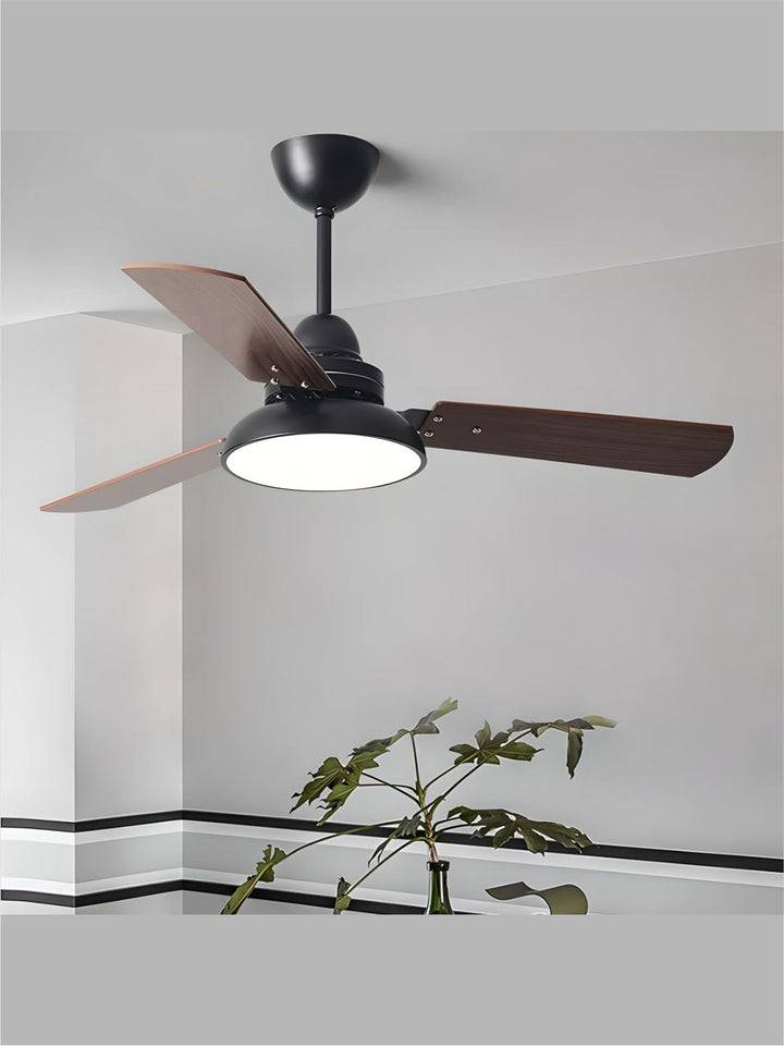 Designer Fans