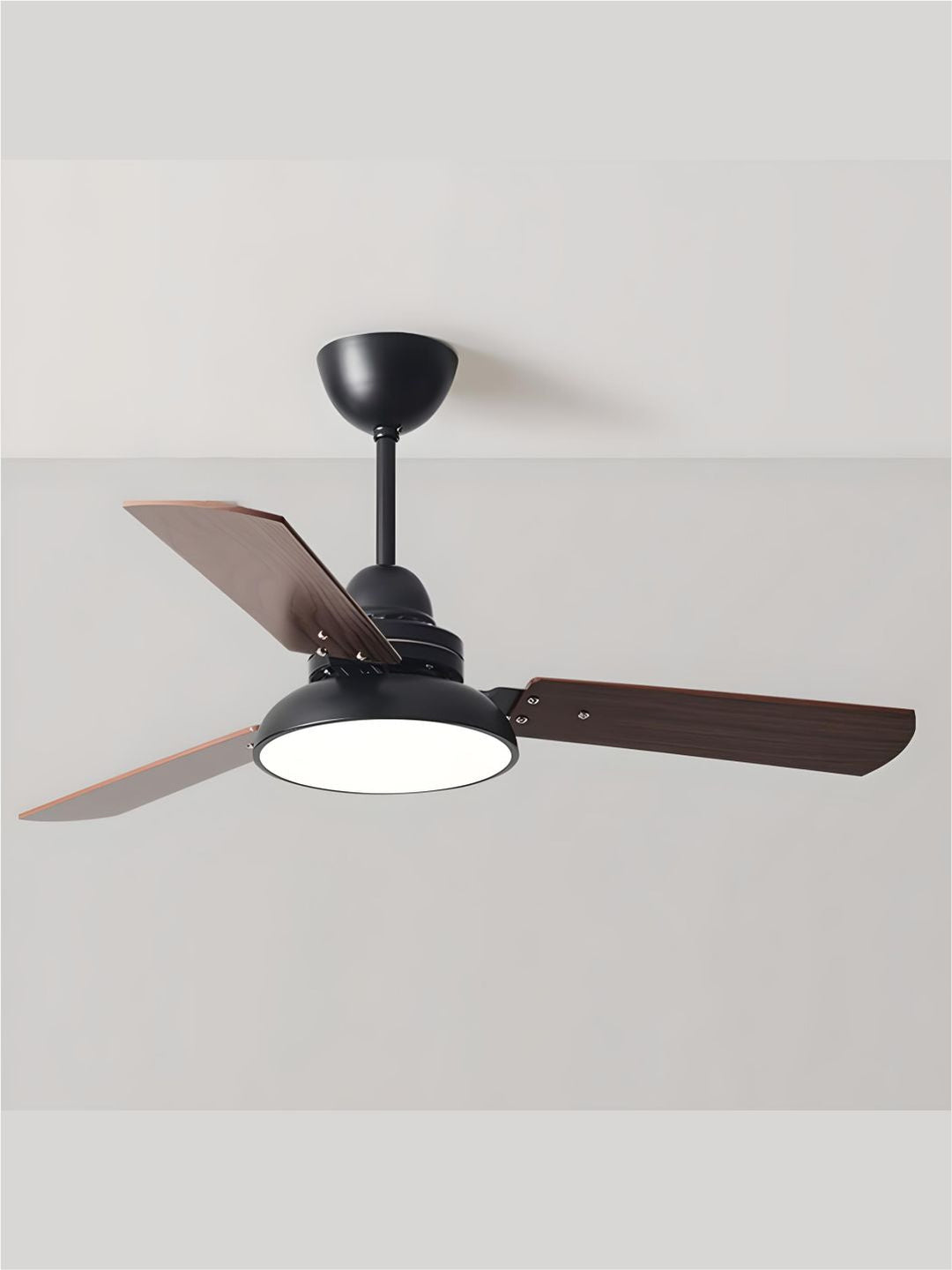 Designer Fans