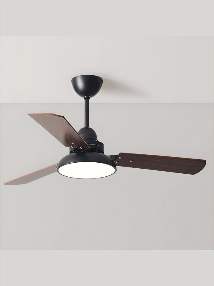 Designer Fans
