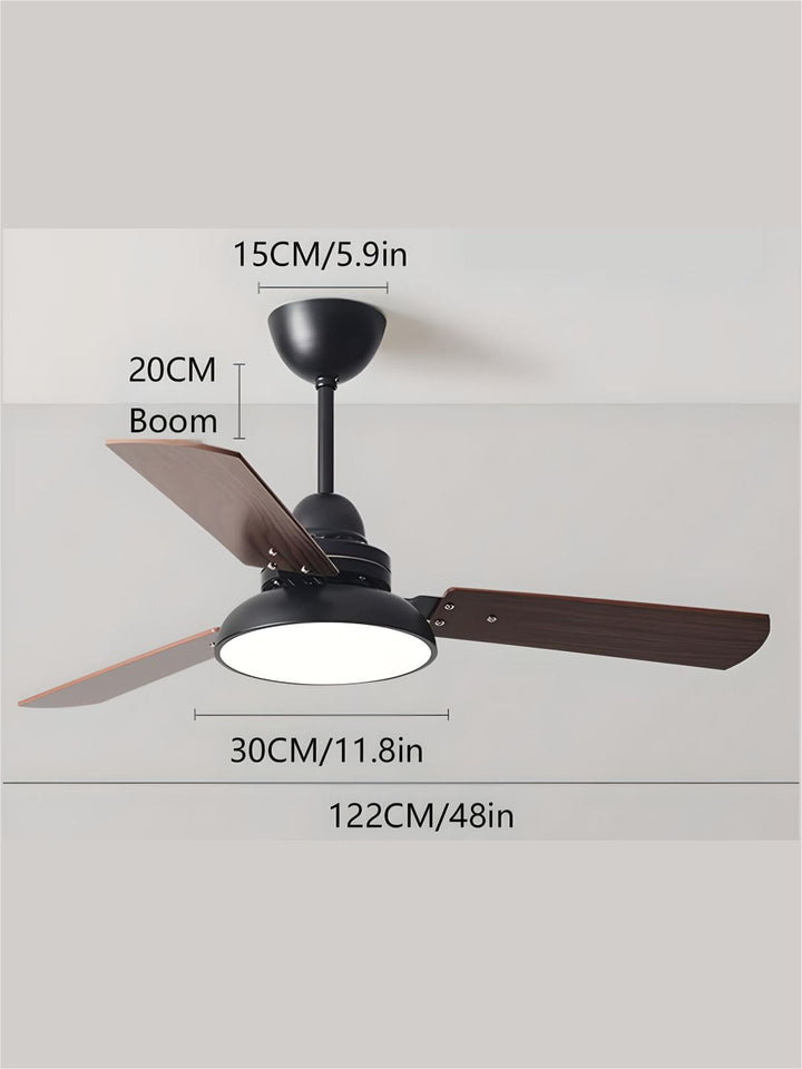 Designer Fans