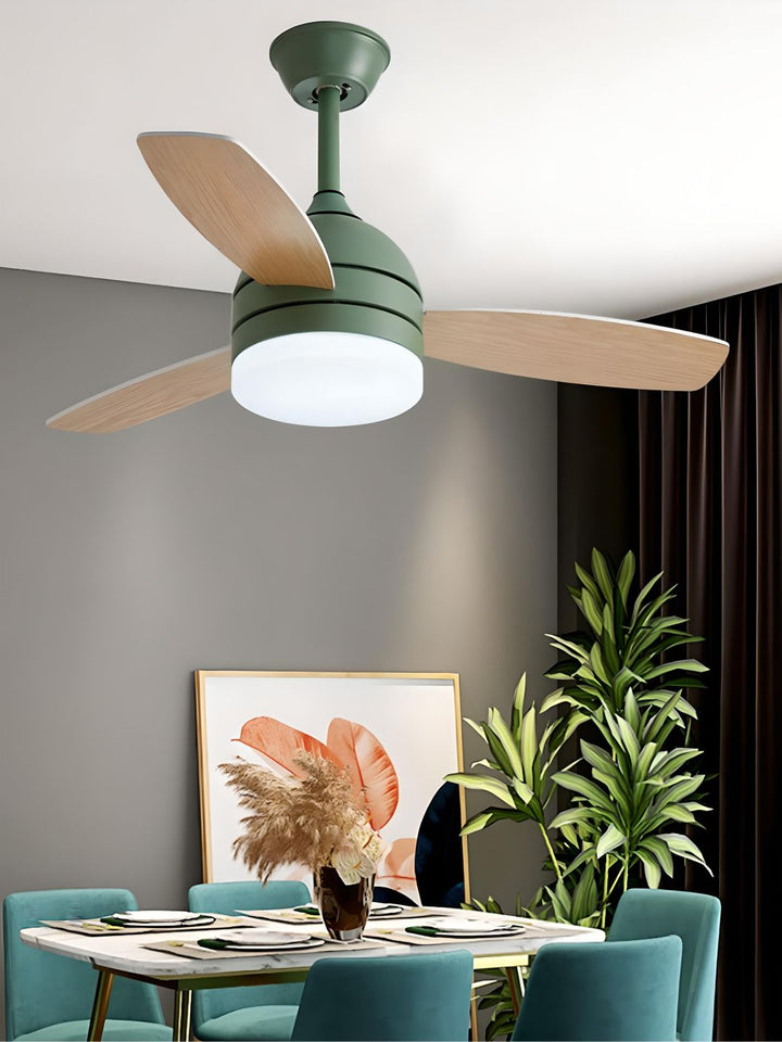 Designer Fans