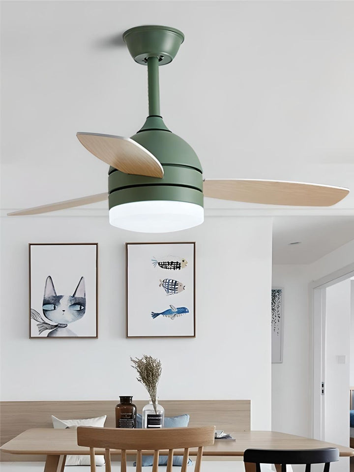 Designer Fans