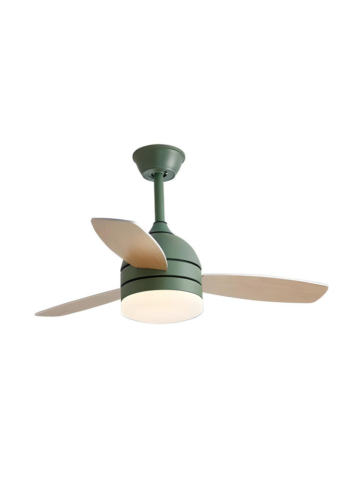 Designer Fans