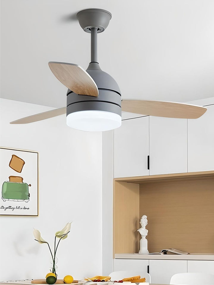 Designer Fans