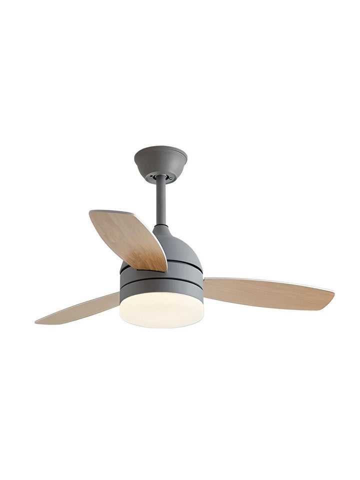 Designer Fans