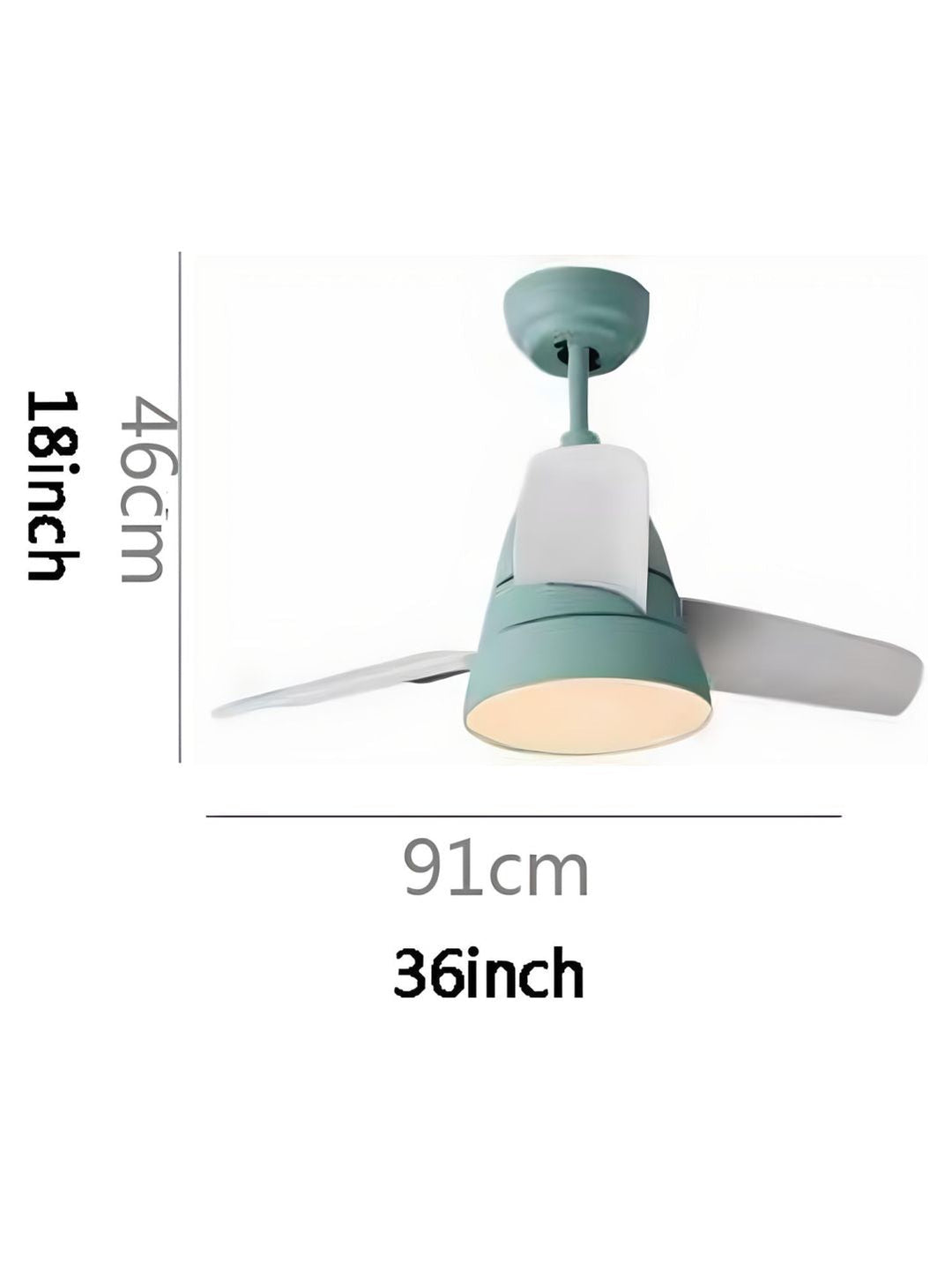 Designer Fans